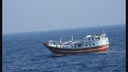 Ấn Độ giải cứu tàu cá treo cờ Iran bị tấn công ngoài khơi Somalia