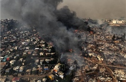 Chile chống chọi với thảm họa cháy rừng, trên 100 người đã thiệt mạng