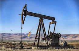 Giá dầu của Mỹ bứt lên mạnh trong tháng 2/2024