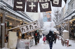 Cảnh báo tuyết rơi dày làm gián đoạn giao thông ở Tokyo