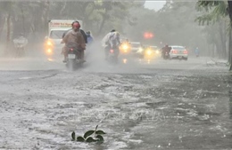 Thời tiết Tết Giáp Thìn 2024: Khu vực từ Thừa Thiên - Huế đến Quảng Ngãi cục bộ có mưa to và dông
