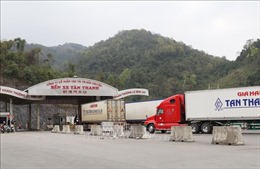 Trên 1.000 doanh nghiệp Việt Nam tham gia xuất nhập khẩu hàng hóa dịp Tết Nguyên đán
