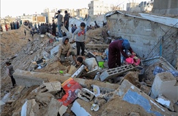 WHO quan ngại về tình trạng nhân đạo ở Dải Gaza