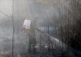 Cảnh báo nguy cơ cháy rừng ở cấp cao tại Kiên Giang