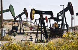 Thông tin về dự trữ dầu của Mỹ đẩy giá dầu thế giới tăng vọt