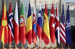 Giới chức NATO và các nước thành viên lạc quan với việc Thụy Điển gia nhập