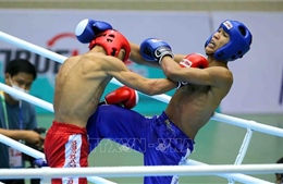 Bình Định đăng cai Giải Vô địch Kickboxing châu Á 2024