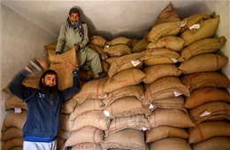 Xuất khẩu gạo basmati của Ấn Độ dự kiến sụt giảm
