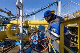 Nga: Tạm thời cấm xuất khẩu xăng để ổn định thị trường nội địa