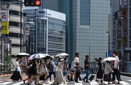 Nhật Bản ghi nhận mùa Đông ấm bất thường