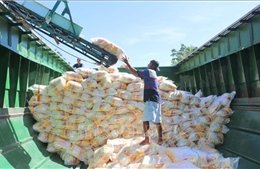 Vì sao giá gạo xuất khẩu liên tục giảm?