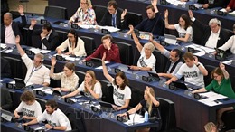Phụ nữ đang ngày càng hiện diện nhiều hơn tại Nghị viện châu Âu 