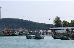 Kiên Giang: Còn trên 1.460 tàu cá chưa đăng ký, đăng kiểm