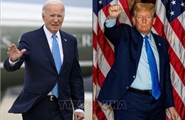 Hai ứng cử viên Joe Biden và Donald Trump chiến thắng tại Kansas và bang Illinois 