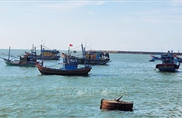 Tìm giải pháp xử lý bồi lấp ở cảng Bến Lội - Bình Châu