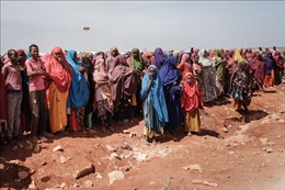 LHQ: Trên 7.000 người phải di dời ở miền Trung Somalia do lo ngại phiến quân al-Shabab
