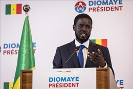 Hội đồng Hiến pháp Senegal xác nhận chiến thắng của ông Bassirou Diomaye Faye