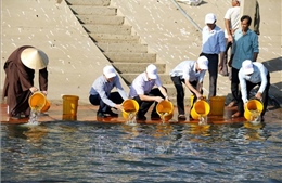 Bình Thuận thả hơn 660.000 con giống tái tạo nguồn lợi thủy sản