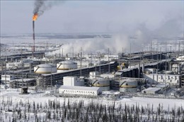 Bloomberg: Nga sẽ giảm mạnh xuất khẩu dầu diesel