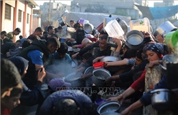 Ai Cập, Jordan kêu gọi cộng đồng quốc tế tăng viện trợ cho Gaza