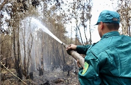 Vụ cháy 40 ha rừng ở Cà Mau: Duy trì lực lượng ứng trực tại chỗ