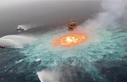 Phát hiện sự cố tràn dầu nghiêm trọng ngoài khơi Vịnh Mexico 