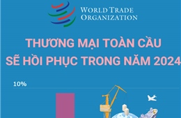 WTO: Thương mại toàn cầu sẽ hồi phục trong năm 2024