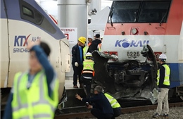 Hàn Quốc: Điều tra vụ tai nạn tàu hỏa tại ga Seoul