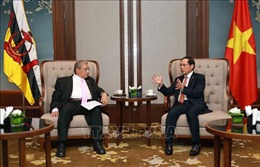 Việt Nam - Brunei hợp tác chắt chẽ trong triển khai thỏa thuận giữa hai nước
