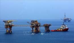 Petrovietnam công bố 2 phát hiện dầu khí mới mỏ Rồng và mỏ Bunga Aster