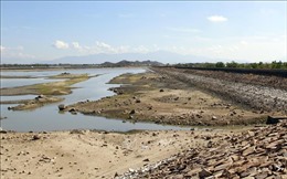 Ninh Thuận: Quyết không để người dân bị thiếu nước sinh hoạt mùa khô hạn