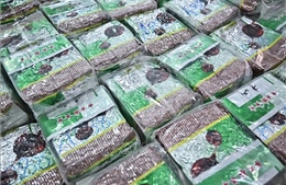 Thái Lan thu giữ 1 tấn ma túy đá trị giá hơn 25 triệu USD