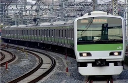 Nhật Bản: Gần 3.000 hành khách bị ảnh hưởng do thông tin có rắn trên tàu điện
