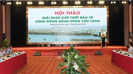 Giải pháp cấp thiết bảo vệ Đồng bằng sông Cửu Long trước hạn, mặn