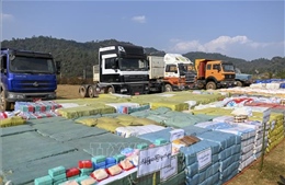 Cảnh sát Myanmar thu giữ 750.000 viên ma túy tổng hợp 