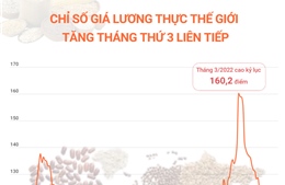 Chỉ số giá lương thực thế giới tăng tháng thứ 3 liên tiếp