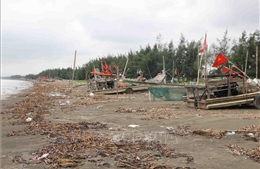 Khắc phục ô nhiễm bờ biển Diễn Châu (Nghệ An) sau khi báo chí phản ánh