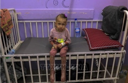 WHO cảnh báo suy dinh dưỡng trẻ em nghiêm trọng ở Dải Gaza