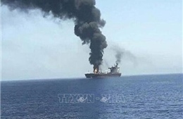 Hội đồng Bảo an yêu cầu Houthi chấm dứt tấn công tàu thương mại trên Biển Đỏ 