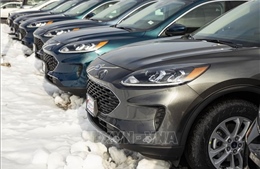 Ford hy vọng mẫu xe mới sẽ mang lại lợi nhuận cao