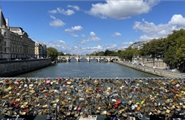 Olympic Paris 2024: Bộ trưởng Thể thao Pháp bơi trên sông Seine