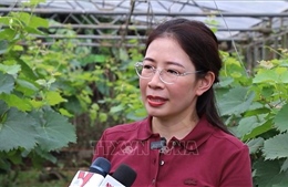Quy định 144-QĐ/TW: Nền tảng giúp cán bộ đối mặt với thử thách