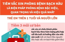 Lịch tiêm vắc xin phòng, chống bệnh bạch hầu cho trẻ trên 1 tuổi và người lớn