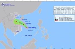 Áp thấp nhiệt đới hình thành trên Biển Đông, gió giật cấp 8