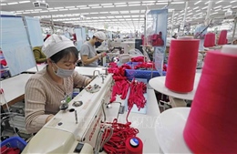 Doanh nghiệp châu Âu kỳ vọng Việt Nam thúc đẩy chính sách duy trì tăng trưởng
