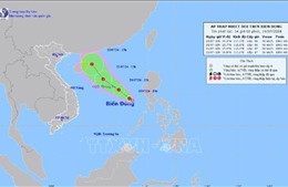 Áp thấp nhiệt đới giật cấp 8, di chuyển hướng Tây Bắc