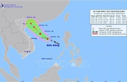 Áp thấp nhiệt đới có khả năng mạnh lên thành bão giật cấp 10