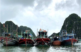 Phòng chống bão số 2: Quảng Ninh sẽ cấm biển từ 12 giờ ngày 22/7