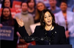 Bầu cử Mỹ 2024: Bà Kamala Harris nhận được đủ sự ủng hộ để trở thành ứng cử viên đảng Dân chủ