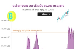 Giá Bitcoin lui về mốc 66.000 USD/BTC